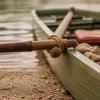 Rowing : comment le mouvement de tirage façonne les muscles du dos et la performance